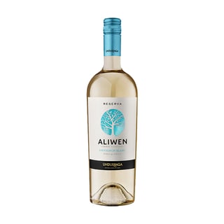 Vino Aliwen Sauvignon Blanc Botella 750cc