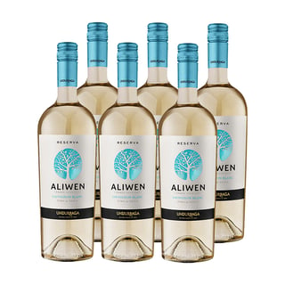 Vino Aliwen Sauvignon Blanc Botella 750cc X6