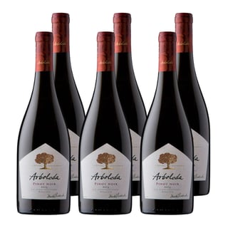 Vino Arboleda Pinot Noir 750cc x6 ($8.990 c/u)