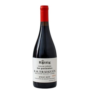 Vino Beattig Viñedo Los Parientes Pinot Noir 750cc