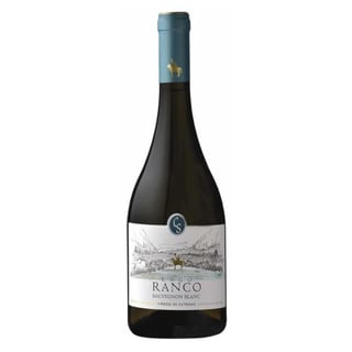 Vino Casa Silva Lago Ranco - Sauvignon Blanc 750ml