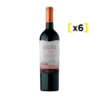 Vino Castillo De Molina Gran Reserva Cabernet Sauvignon Botella 750cc X6