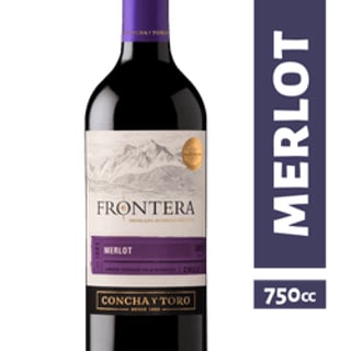 Vino Frontera Merlot 750 cc
