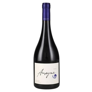 Vino Garcés Silva Amayna Syrah 750cc