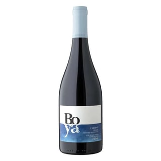 Vino Garcés Silva Boya Cabernet Franc 750cc