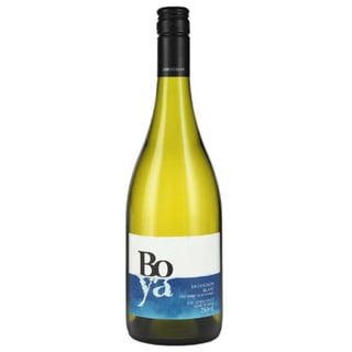 Vino Garcés Silva Boya Sauvignon Blanc 750cc