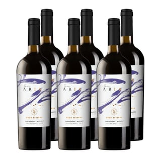 Vino Gran Aria Gran Reserva Carmenere - Malbec 750cc x6