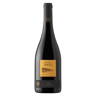 Vino Montgras Antu Syrah 750ml