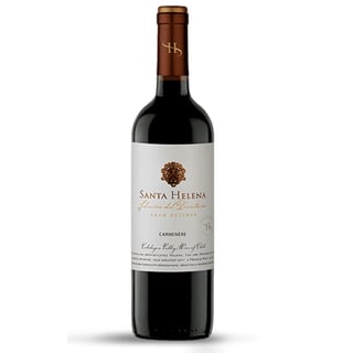 Vino Selecci�n Del Directorio Carmenere Botella 750cc