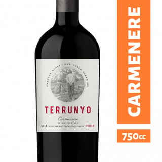 Vino Terrunyo - Carmenere 750ml