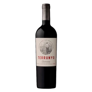 Vino Terrunyo Carmenere Botella 750cc