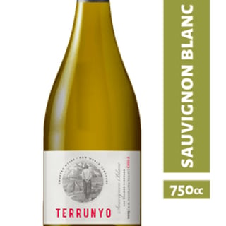Vino Terrunyo Sauvignon Blanc 750 cc