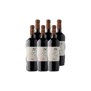 Vino Undurraga T.h. Carmenere Peumo 750cc X6
