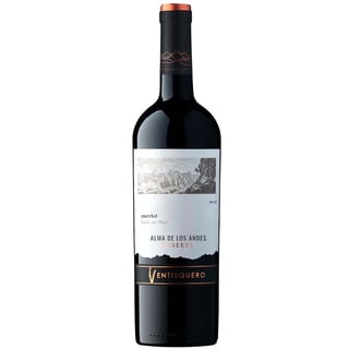 Vino Ventisquero Alma de los Andes Merlot 750cc