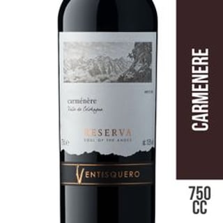 Vino Ventisquero Alma de Los Andes Reserva Carmenere 750 cc