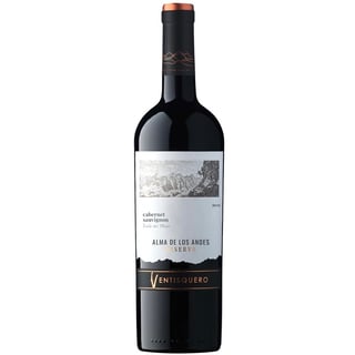 Vino Ventisquero Alma de los Andes Rsva Cabernet Sauvignon 750cc
