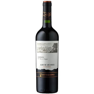 Vino Ventisquero Alma de los Andes Rsva Carmenere 750cc