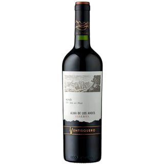 Vino Ventisquero Alma de los Andes Syrah 750cc