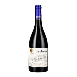 Vino Von Siebenthal Carabantes Syrah