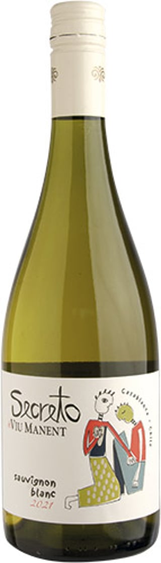 Viu Manent Secreto Sauvignon Blanc 2021