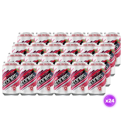 24x Cerveza Berries Stone - Lata 350cc