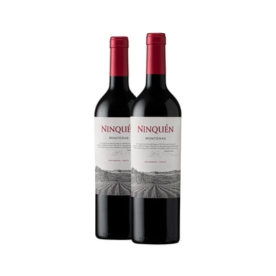 2 Vinos Montgras Ninquén 2021 Ícono Blend
