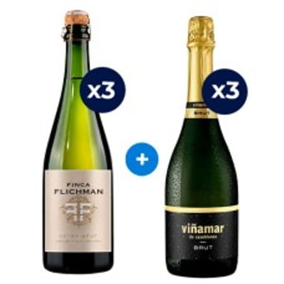 3 Espumante Finca Flichman Extra Brut 750cc + 3 Espumante Viña Mar Brut 750cc ($3.990 c/u) (v1)