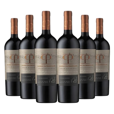 6x Vino Casas Patronales Gran Reserva Carmenere 14,5˚ - 750ml