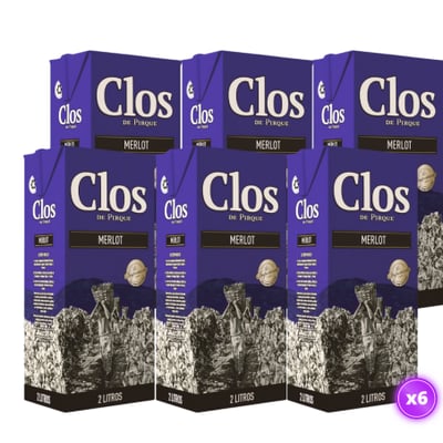 6x Vino Clos de Pirque - Merlot Tetra 2L
