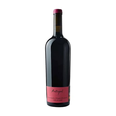 Antiyal Carménère