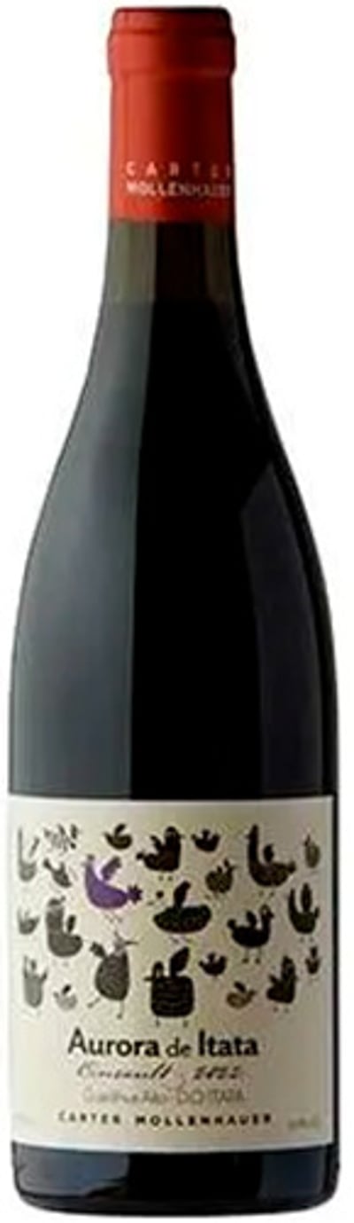 Aurora De Itata Cinsault 2024