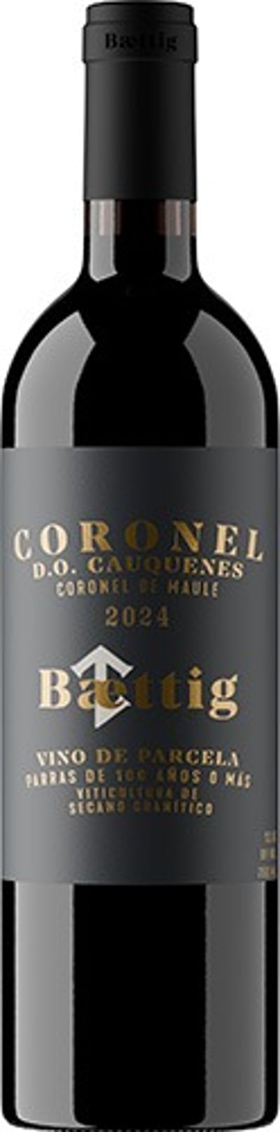 Baettig Coronel Ensamblaje Tinto 2024