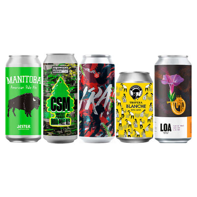 BEER CHOICE PACK N°10: 5x Cervezas Craft Imperdibles