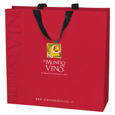 Bolsa Accesorios Grande, Papel Bond