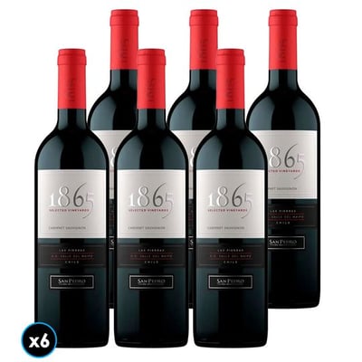 CAJA 1865 SINGLE VINEYARD (Cabernet Sauvignon): 6x Vino 1865 Single Vineyard Cabernet Sauvignon 750cc
