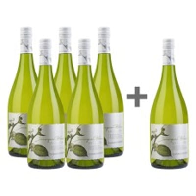Caja 6 unidades La Cantera Sauvignon Blanc, Casas del Bosque 5*6 (PAGUE 5, LLEVE 6) ($5.825 c/u)