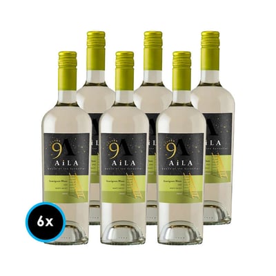 CAJA AILA HEAVEN GR (Sauvignon Blanc): 6x Vino Aila Heaven Gran Reserva Sauvignon Blanc 750cc