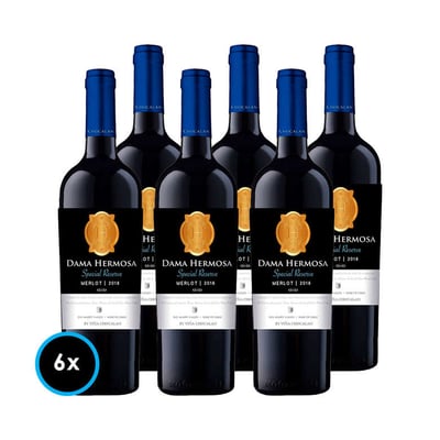 CAJA CHOCALAN SPECIAL RESERVE (Merlot): 6x Vino Chocalan Special Reserve Merlot 750cc