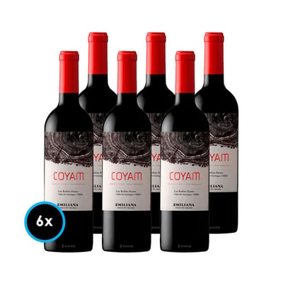 CAJA COYAM: 6x Vinos Orgánico COYAM 750cc