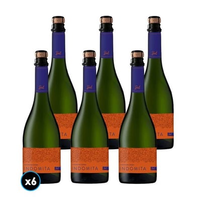 CAJA ESPUMANTE INDÓMITA (Brut): 6x Espumante Indómita Brut 750cc
