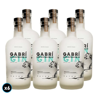 CAJA GIN GABRI: 6x Gin GABRÍ Wild Patagonian 750cc 40º alc.