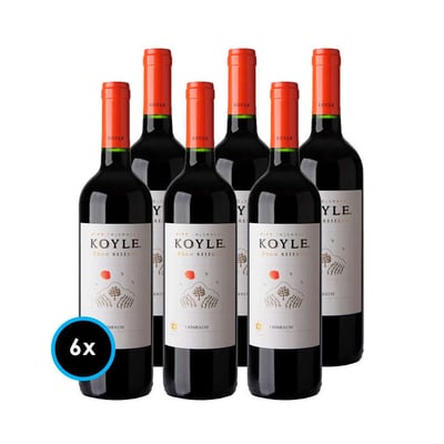 CAJA KOYLE GR (Carmenere): 6x Vinos Koyle Gran Reserva Carmenere 750cc