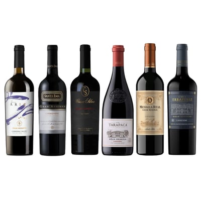 Caja Selección Carmenere Gran Reserva x6 - 6 Viñas Chilenas
