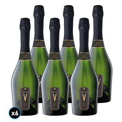 CAJA VERTICAL BRUT NATURE: 6x Espumante Vertical Brut Nature 750cc