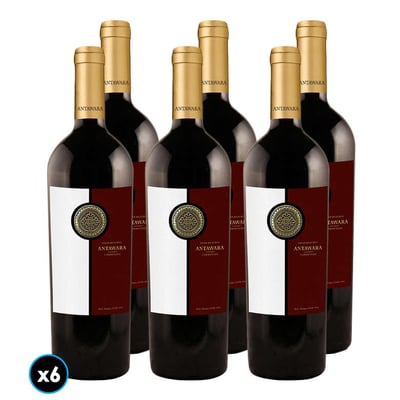 CAJA VINO ANTAWARA GRAN RESERVA (Carmenere): 6x Vino Antawara Gran Reserva Carmenere 750cc