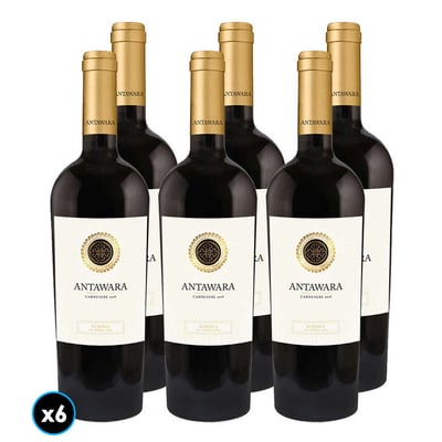 CAJA VINO ANTAWARA RESERVA (Carmenere): 6x Vino Antawara Reserva Carmenere 750cc