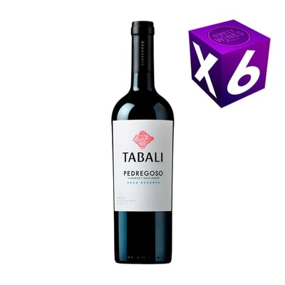 Caja X6 – Tabali Pedregoso Gran Reserva Cabernet Sauvignon