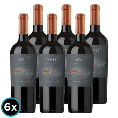 CAJA YALI WETLAND (Carmenere): 6x Vino Yali Wetland Reserva Carmenere 750cc