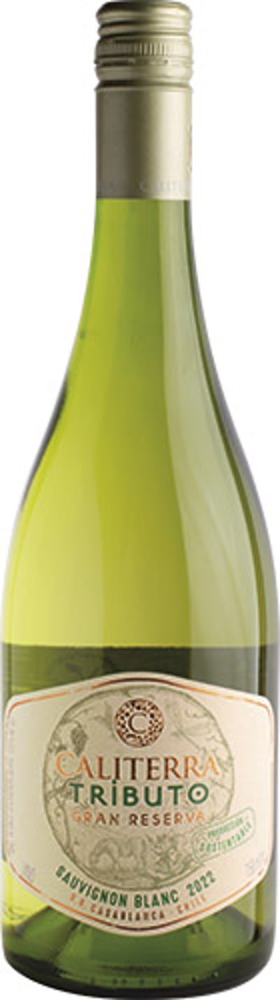 Caliterra Tributo Sauvignon Blanc Gran Reserva 2023