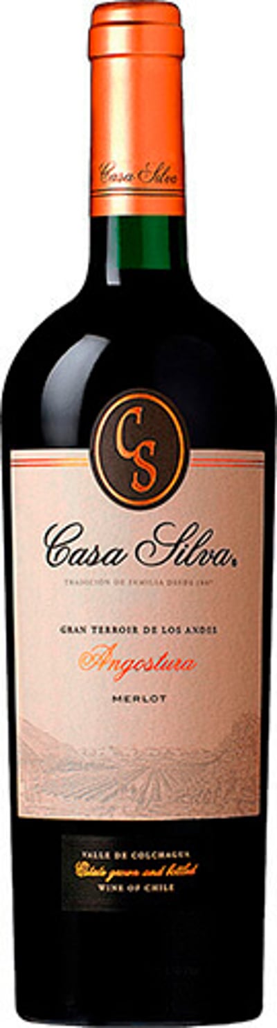 Casa Silva Gran Terroir De Los Andes Merlot 2023